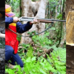 その他の様々な税金（入湯税・狩猟税・鉱区税）